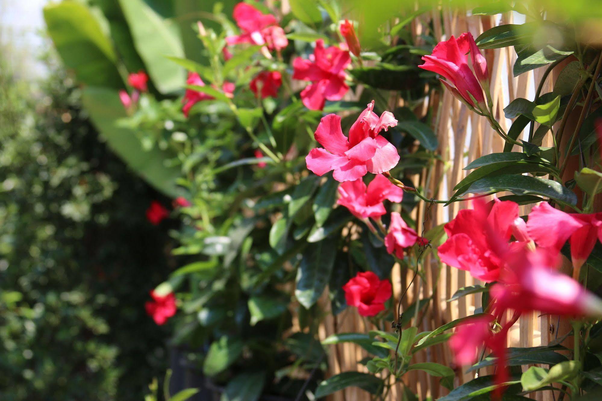 Joyful Thai Boutique Hotel Chiang Mai Bagian luar foto